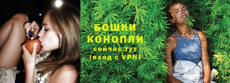 Бошки Шишки OG Kush  Кандалакша 